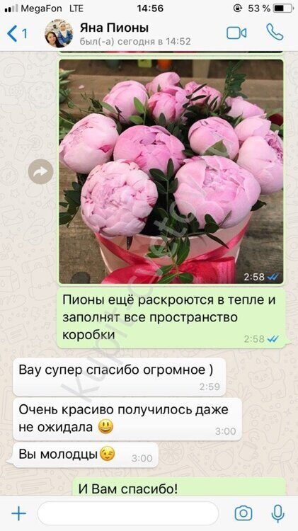 Коробка дары природы