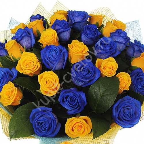 Букет из 16 синих и 15 желтых роз