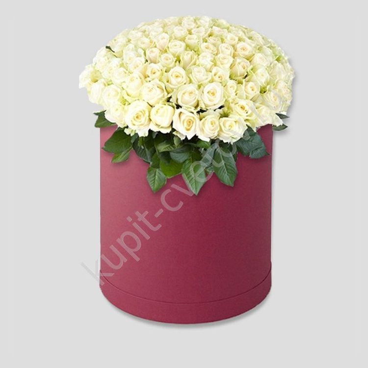 Белые розы в шляпной коробке